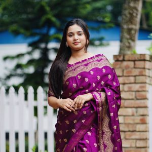 জাপানি সিল্ক জাম কালারের শাড়ি ৩